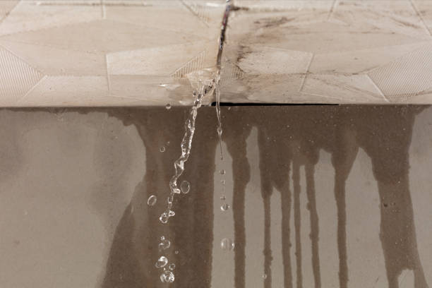 Professional Structural Drying technician working in Spring House, PA